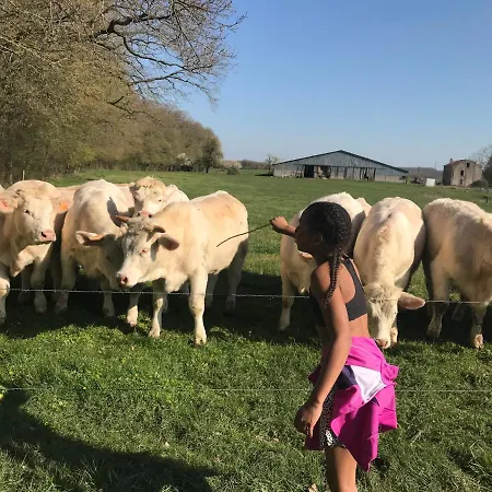 Hébergement de vacances A L’orée Du Bois Moncheux