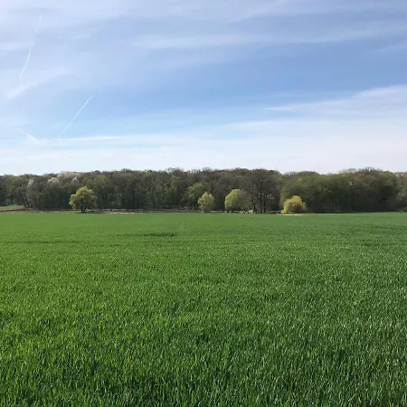 L Oree Du Bois Ferienhaus Moncheux