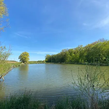 Hébergement de vacances A L’orée Du Bois Moncheux