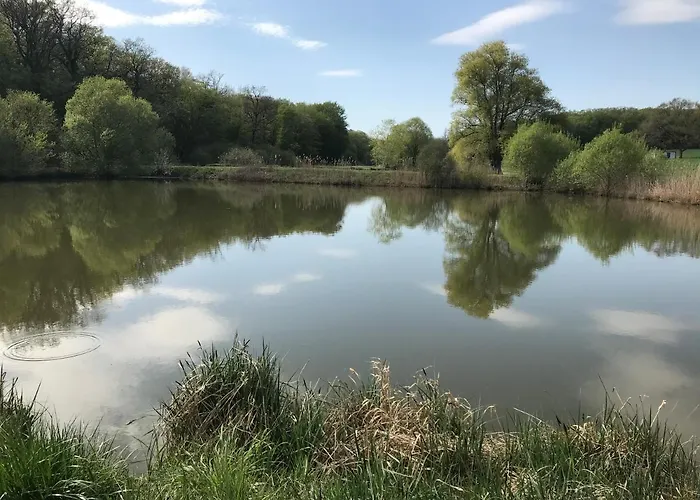 L Oree Du Bois * Moncheux