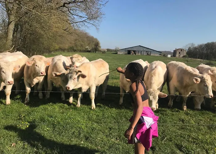 Dom wakacyjny L Oree Du Bois Moncheux