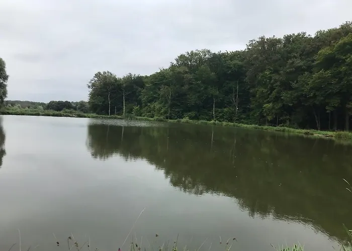 Holiday home L Oree Du Bois *