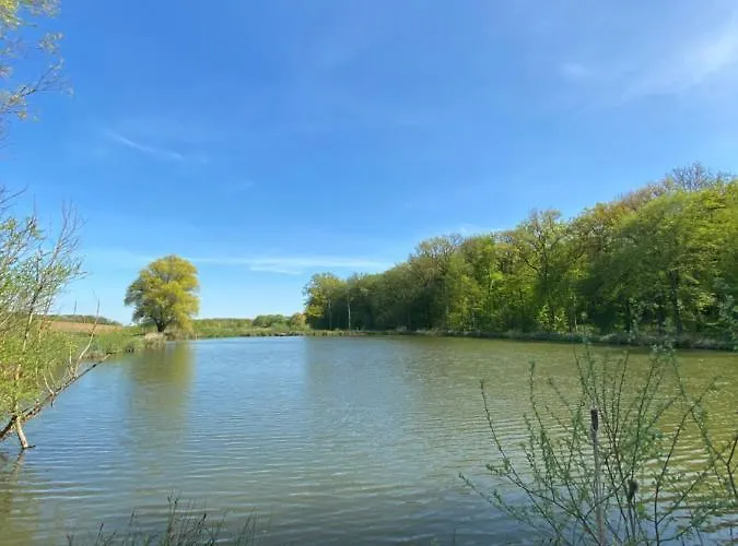 Holiday home L Oree Du Bois Moncheux